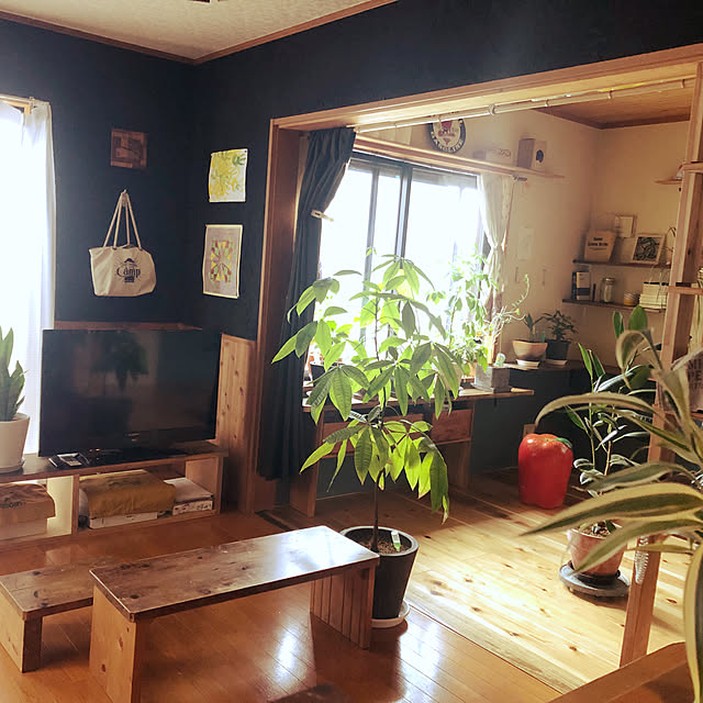 部屋全体のインテリア実例 - 2023-10-14 09:29:57