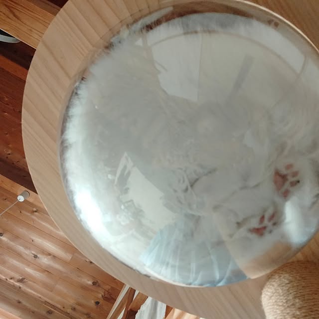 makaronさんの部屋