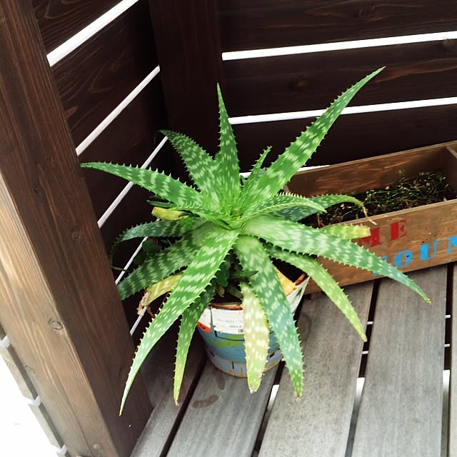 Oya-Gさんの実例写真