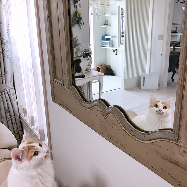 yuchiさんの実例写真