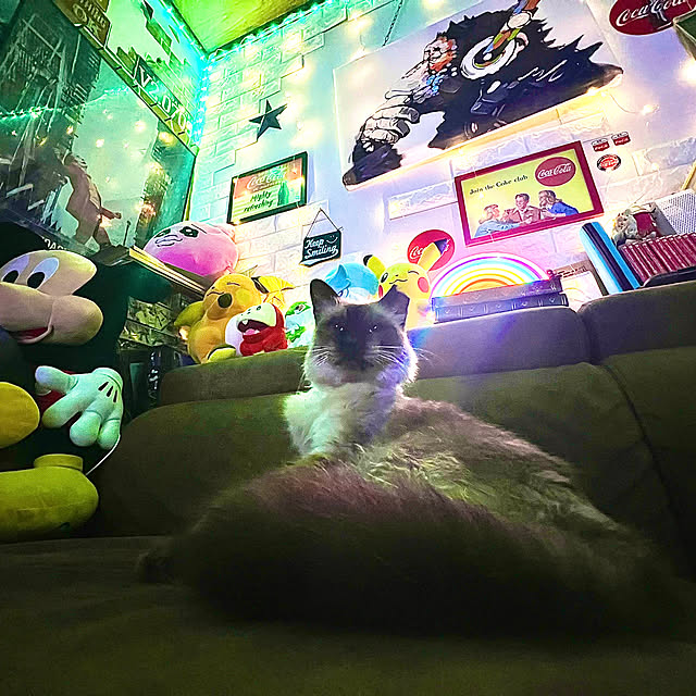 masa.さんの実例写真
