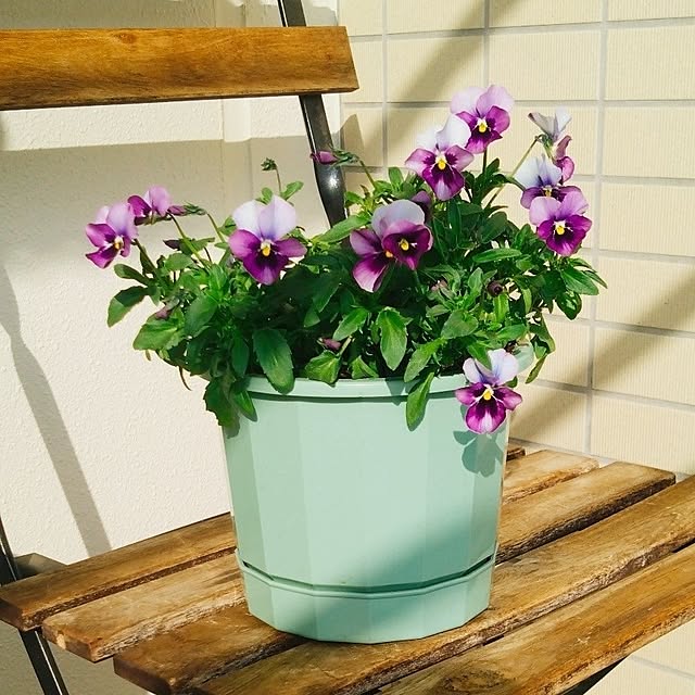 kerochanさんの部屋
