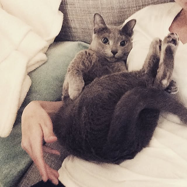実例写真