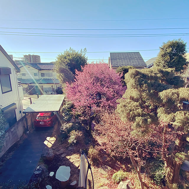 NOIRさんの実例写真
