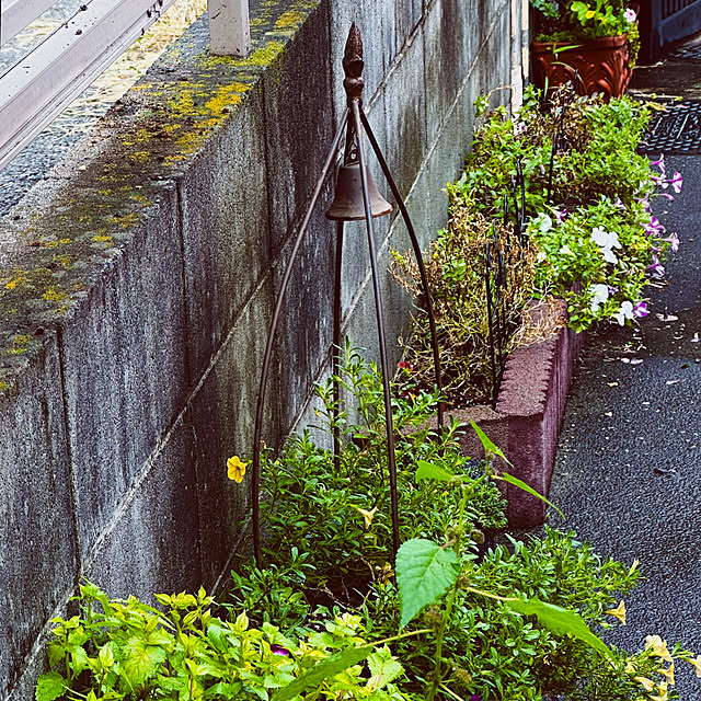 chacoさんの部屋