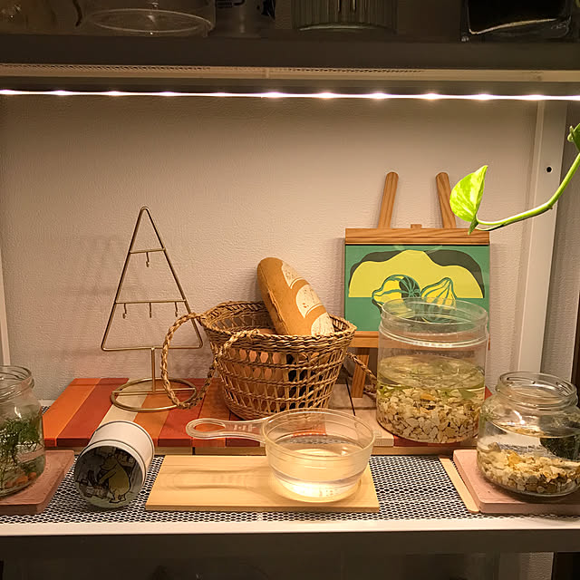 mi-saさんの部屋