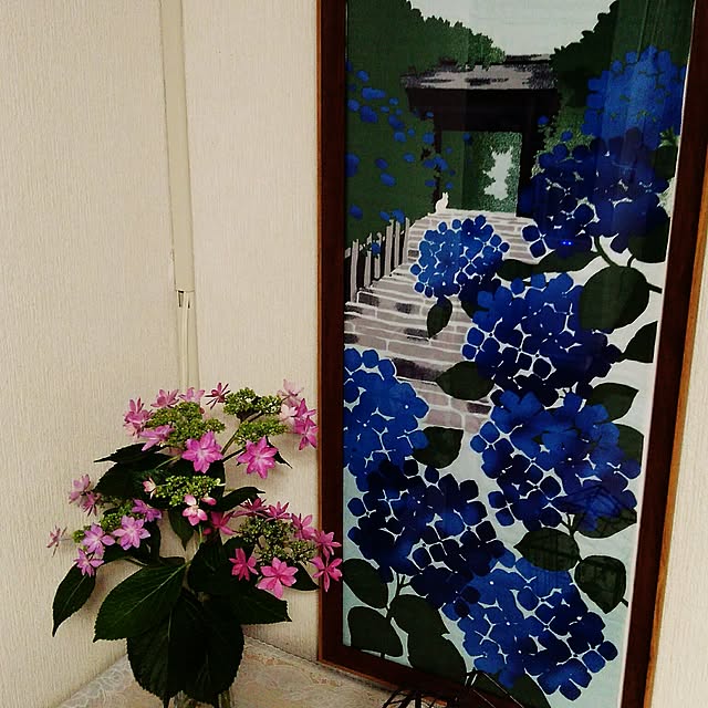 leon.cat172さんの実例写真