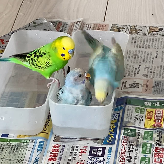 ohanaさんの部屋