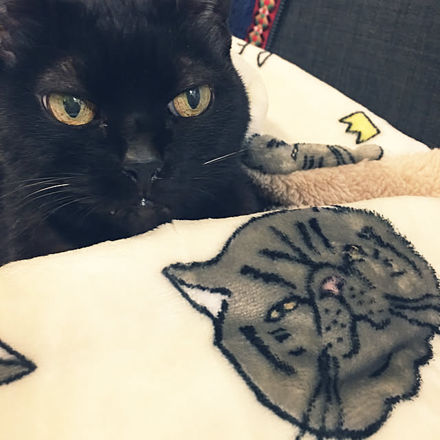 ALPSさんの実例写真