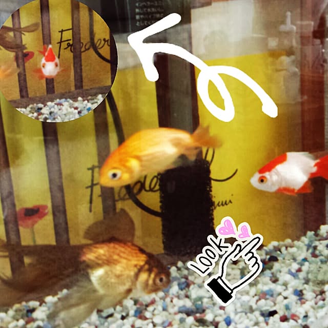 masax_xさんの実例写真