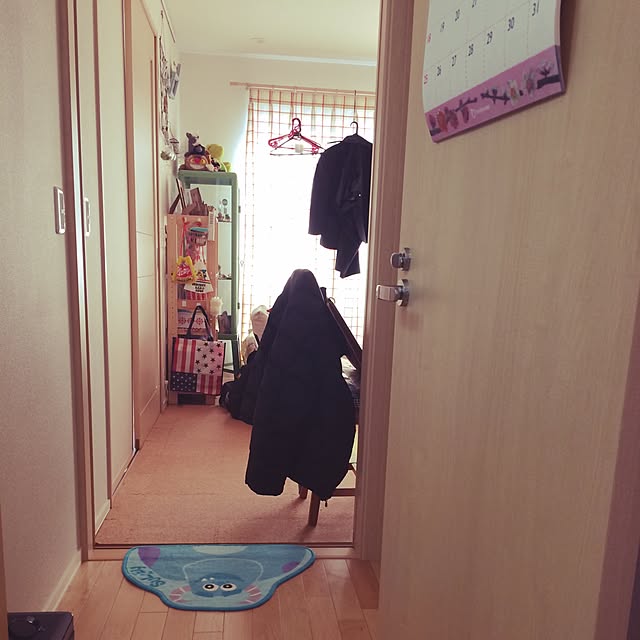 部屋全体/サリー/アメリカン/ラックのインテリア実例 - 2015-01-07 11:47:42