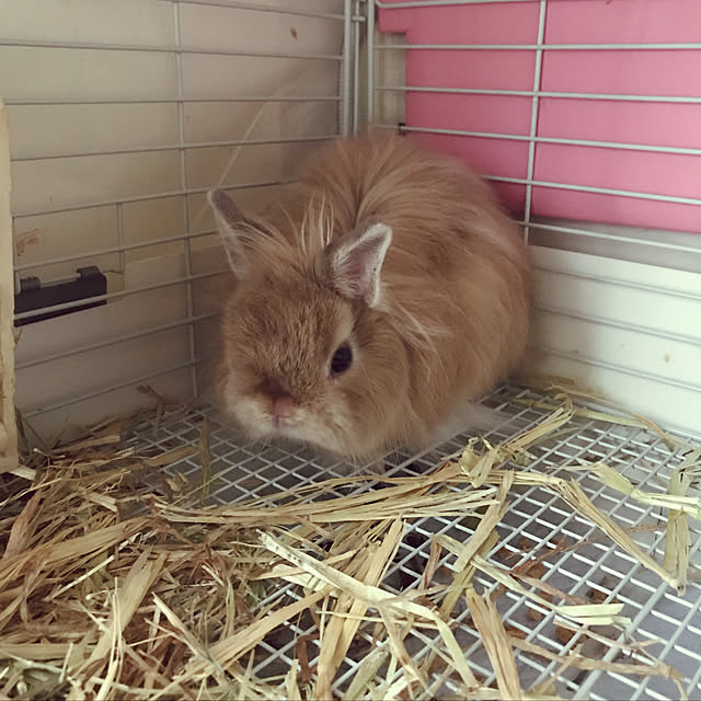 mさんの実例写真