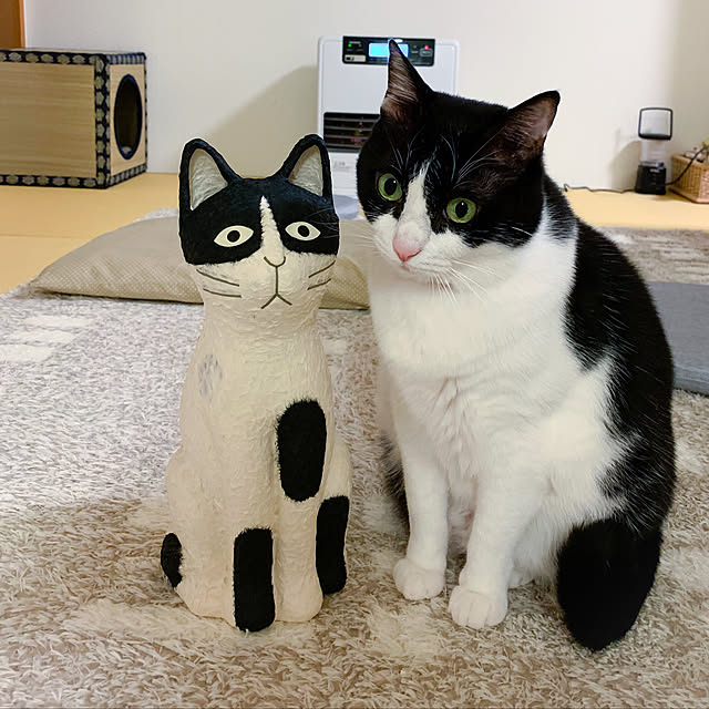 bikkeさんの実例写真