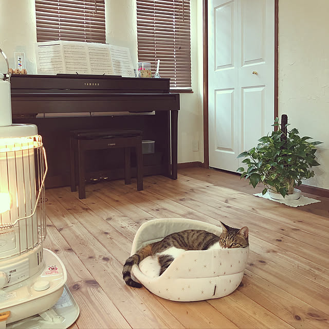 yurari.bonnさんの実例写真