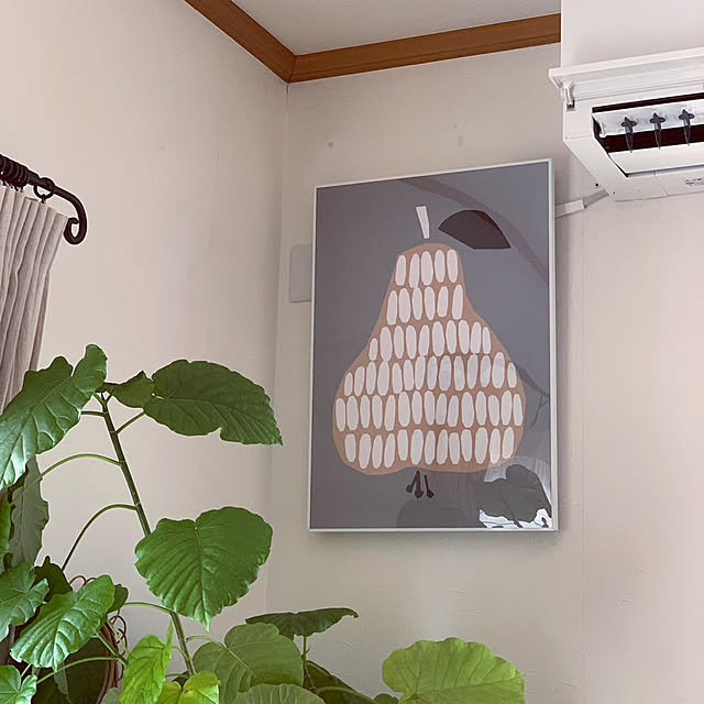 misacoさんの実例写真