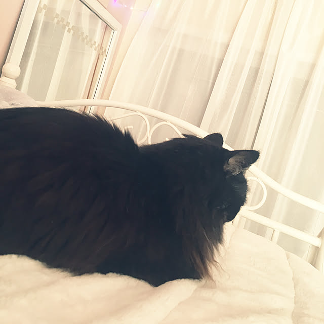 kanaさんの実例写真