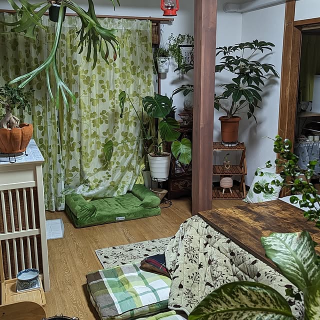 michiさんの実例写真