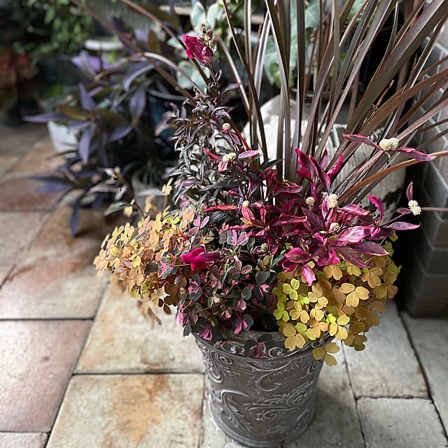 mamisazさんの部屋