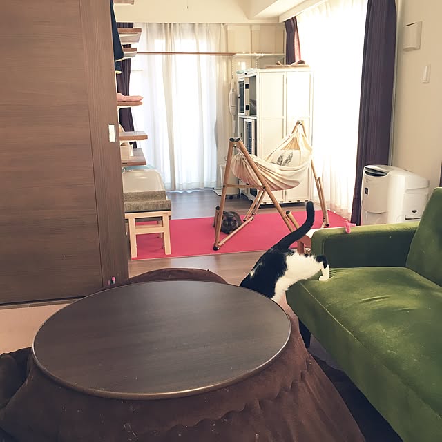 mikomaruさんの実例写真