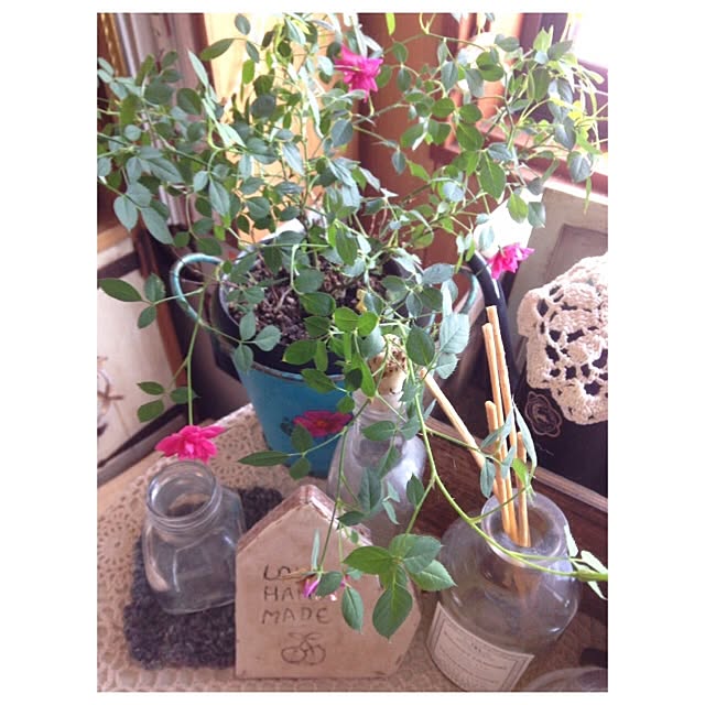 Lemon__chouさんの実例写真