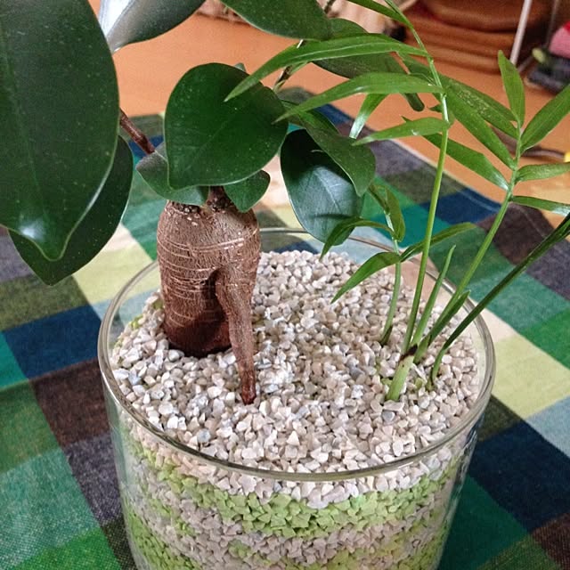 kopenさんの実例写真
