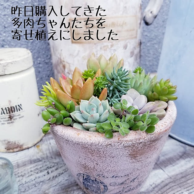 Mikaさんの実例写真