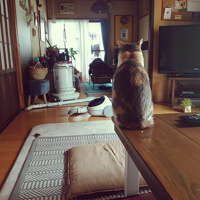 fukuさんの実例写真