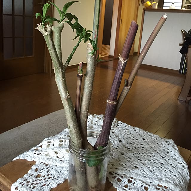 moririnさんの実例写真