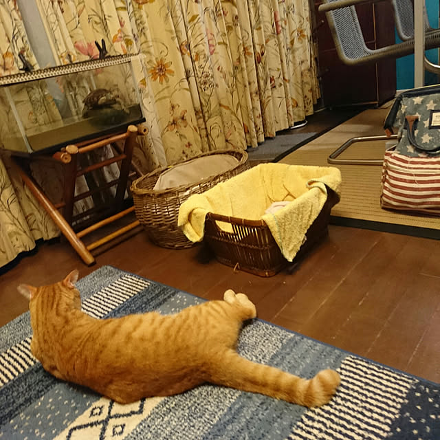 okyosan101さんの実例写真