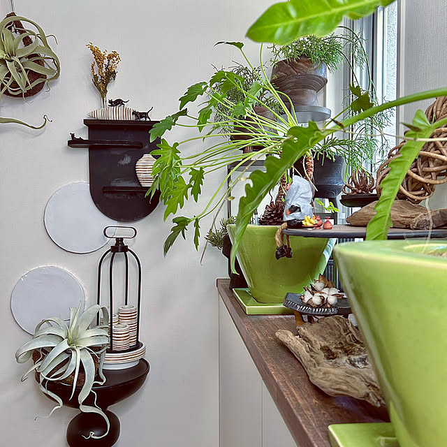 DAYONEさんの部屋