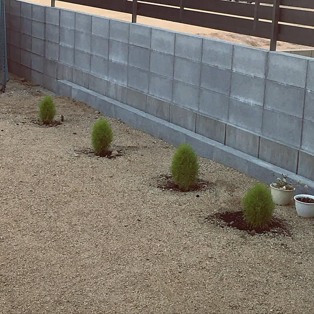 n.m.wsさんの実例写真