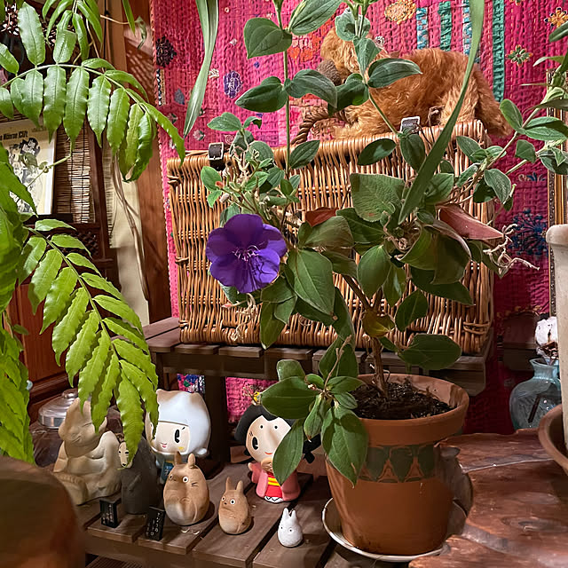 shin0719さんの部屋