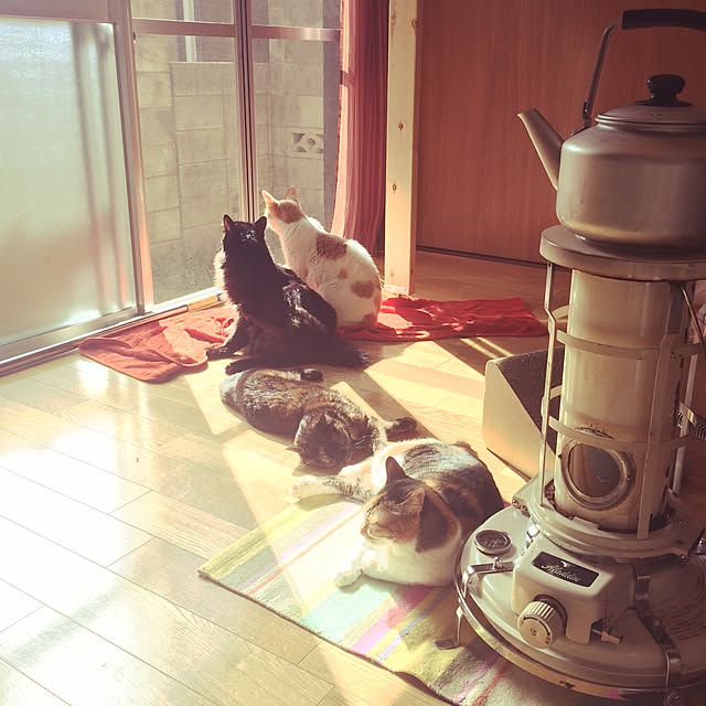 k.0316さんの実例写真