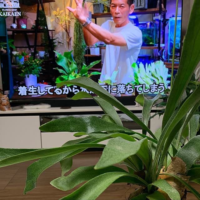 Aqettyさんの実例写真