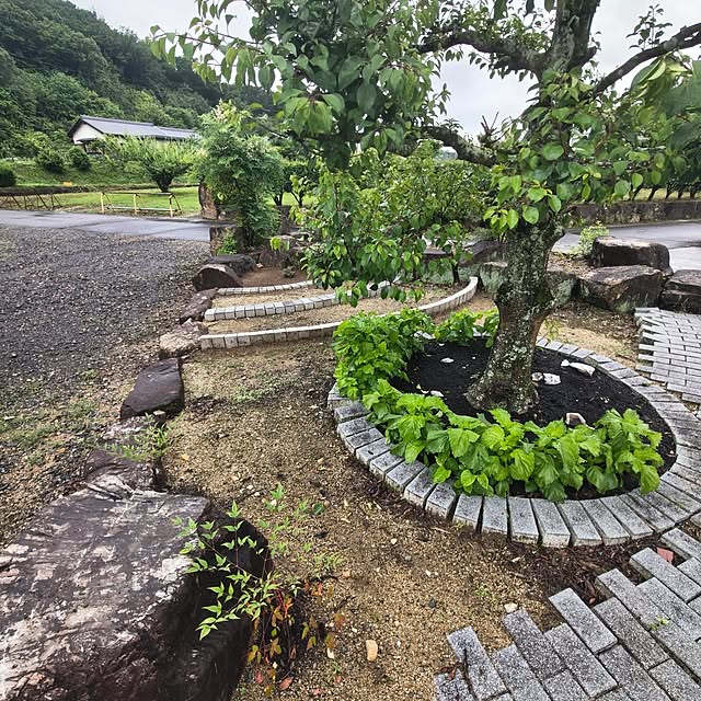 Rubiconさんの部屋