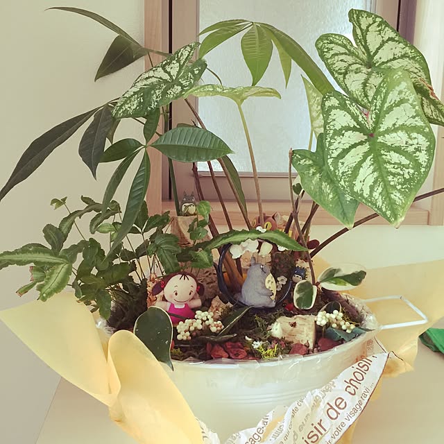実例写真
