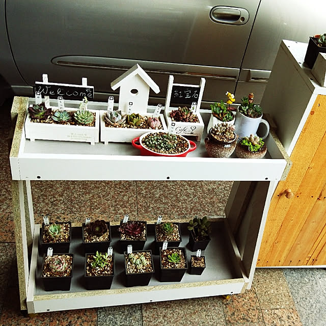 玄関/入り口/DIY/雑貨/多肉植物のインテリア実例 - 2020-05-24 19:02:20