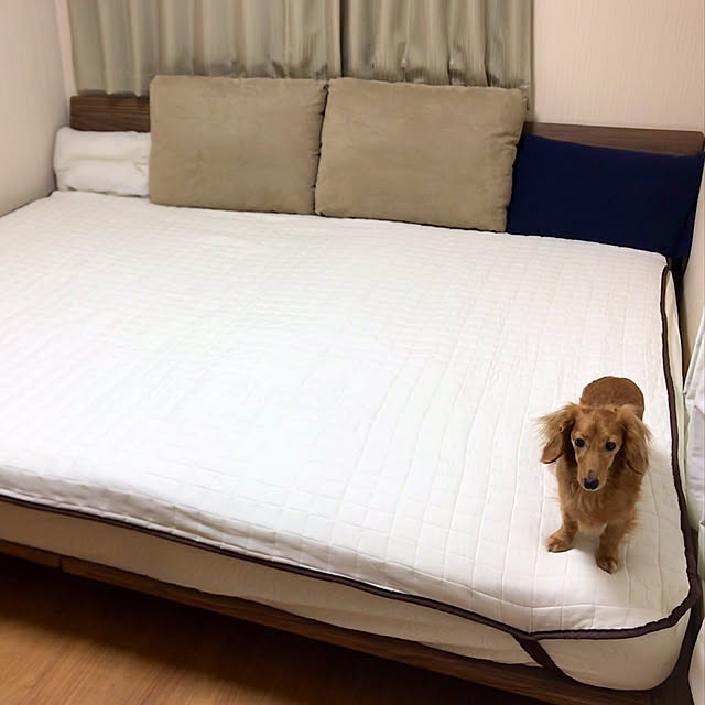 maiさんの実例写真