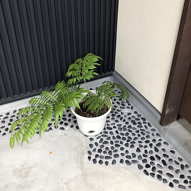 tenawanko913さんの実例写真