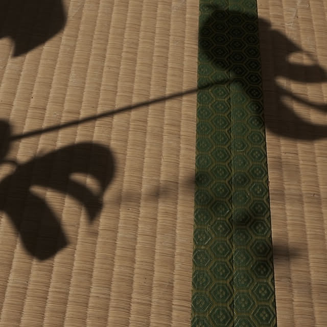 Fujiさんの実例写真