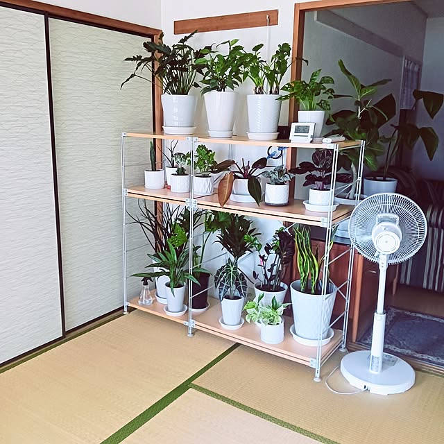 hanachanさんの部屋