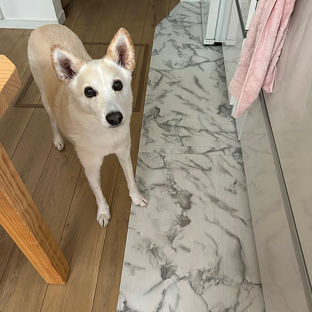 tanboさんの部屋