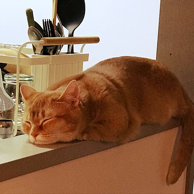 amo69xxさんの実例写真