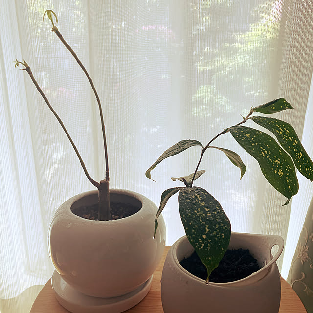 katuさんの部屋