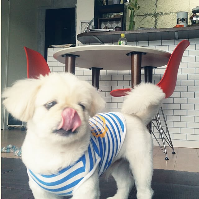 yukagomaさんの実例写真