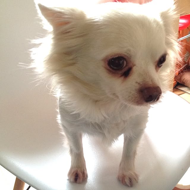 cocoさんの実例写真