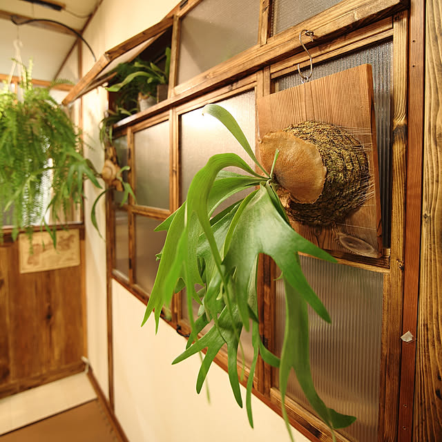 ww.kirakuさんの実例写真