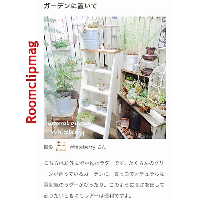 Whiteberryさんの実例写真