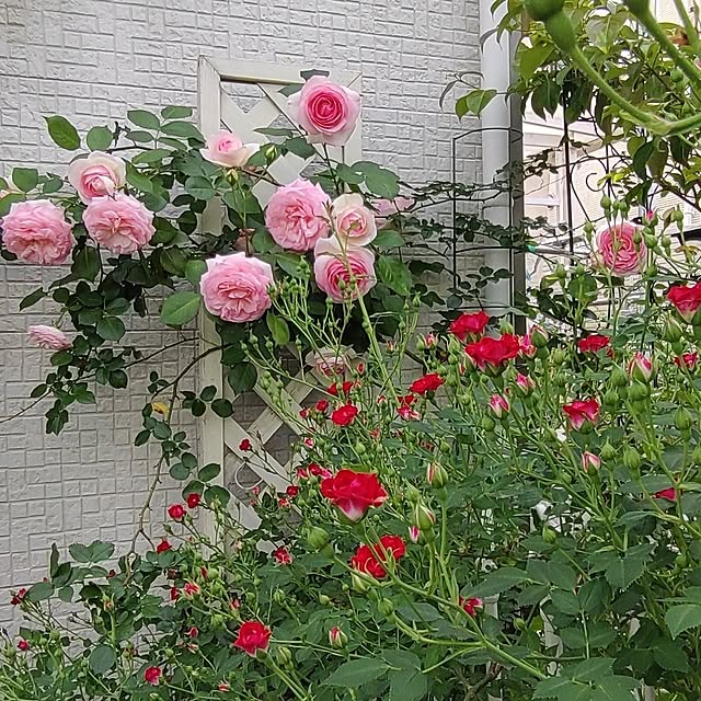 Bienvenueさんの実例写真