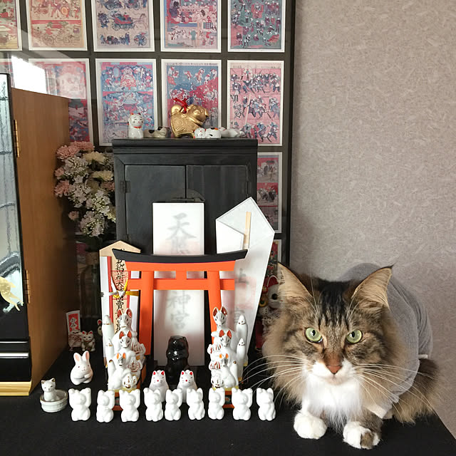 yuchiさんの実例写真